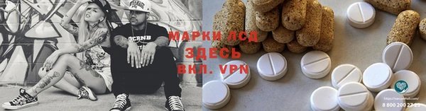 apvp Алзамай