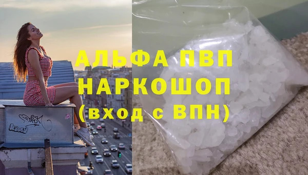 apvp Алзамай