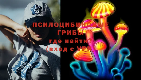 стафф Алексин